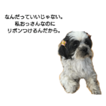 ポポちゃん & うめちゃん