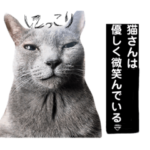 大中小3猫。多分はっちゃけ編