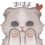 いつでも使える長毛猫♡日常