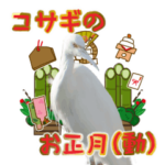 コサギの写真スタンプ　2022年お正月(再）