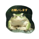 カエルのガマちゃんとお友達