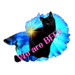 もふまるにっき2