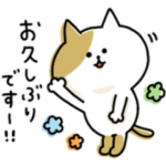 ゆるゆるニャンコの敬語メッセージ3