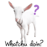 ヤギの挨拶スタンプ（英語版）