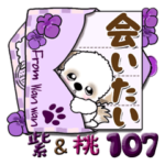 シーズー犬 107『桃色と紫色』