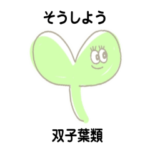 ゆるい！りかすたんぷ