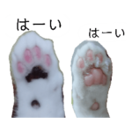 ぽんず&みりん