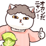 おかんだニャン！