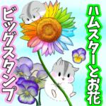 ❤️可愛いハムスターとビッグ綺麗なお花❤️