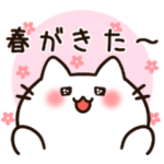 春を楽しむ白猫ちゃん