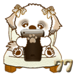 シーズー犬 77『茶色』