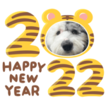 ソルくんスタンプ2022