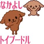 楽しく動く☆なかよしトイプードル♪