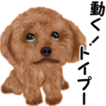 動く！トイプー