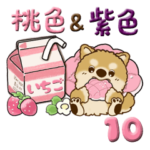 ちゃちゃ丸 10『桃色と紫色』