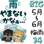 ちゃちゃ丸 14『梅雨・青色系』