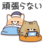 ふてぶてしばいぬ & キジトラ猫