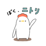 ニワトリのニトリ