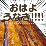 メッセージうなぎ