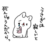 もふもふうさぎ