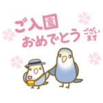 インコフレンズの入園、入学、就職お祝い