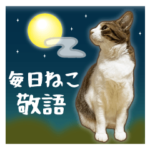 大人ゆる敬語★初秋も毎日ねこ★実写猫