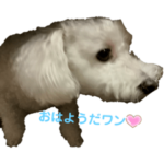 りんちゃんスタンプ