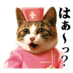 なめ猫 ～なめんなよ～