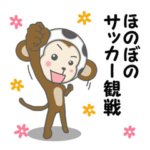 ほのぼのサッカー観戦