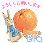 ピーターラビット フルーツ&ベジタブル Big