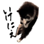 あらしにゃん！2