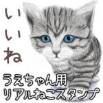 うえちゃん用リアルかわいい猫