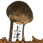 松茸研究家上津さんのマツタケ