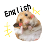 ゴールデンハムスター小麦さん 英語版