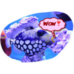 つぶやく海水魚たち②英語版