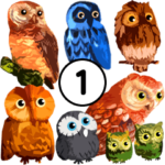 喋るフクロウ vol.1