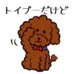 トイプードルだけど