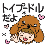 毎日使える♡敬語トイプードルだよ