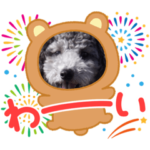 暇なトイプードルシリーズ2