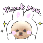 ポメチャンズ2022