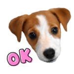 なな＆ちいの日常