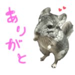 うにちゃんのトトロな毎日