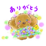 毎日使う挨拶をフワッと優しく送りましょう