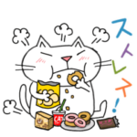 Junsの働きたくないネコ達