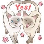 Love トンキニーズ２