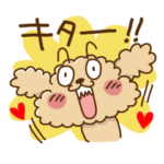 トイプーのぷう太郎　その２