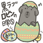 黒ラブ ロビン 春バージョン 2