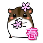 タキタロウの春