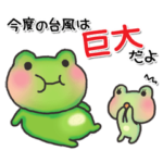 カエルのお天気