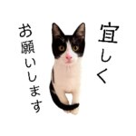 街ねこスタンプ！敬語２